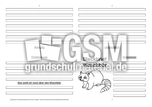 Waschbär-Faltbuch-vierseitig-1.pdf